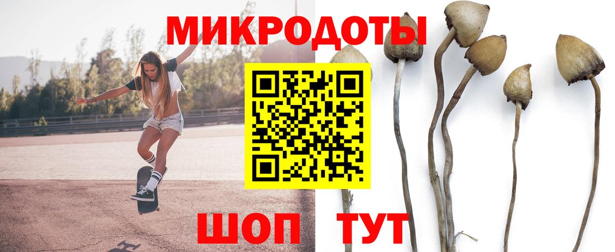 Псилоцибиновые грибы GOLDEN TEACHER Ижевск